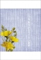 ポストカード　サンキューカード 植物　花　［BB2027］|植物|サンキューカード