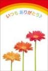 ポストカード　サンキューカード 植物　花ポップ　［BB2030］|植物|サンキューカード