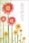 ポストカード　サンキューカード 植物　花　［BB2033］|植物|サンキューカード