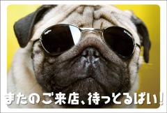 �ݥ��ȥ����ɡ���Ź¥�ʡ�ưʪ  ������CA1012��