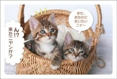 �ݥ��ȥ����ɡ���Ź¥�ʡ�ưʪ  ǭ����CA1020��