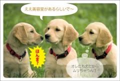�ݥ��ȥ����ɡ���Ź¥�ʡ�ưʪ  ������CA1024��