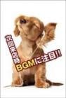 ポストカード　来店促進　動物　犬　［CA2011］|動物|来店促進