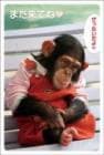 ポストカード　来店促進　動物　サル　［CA2017］|動物|来店促進