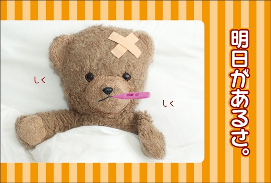 ポストカード メッセージ 夢 希望 未来 人形 クマ Da1002 メッセージ 夢 希望 未来 キンコーズポストカード