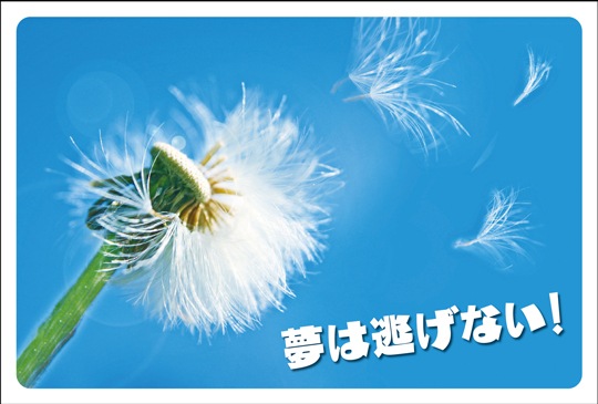 ポストカード メッセージ 夢 希望 未来 植物 たんぽぽ Da1009 メッセージ 夢 希望 未来 キンコーズポストカード
