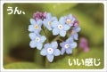 ポストカード　メッセージ　人生訓・その他　花　ハート　［DF1032］|人生訓・その他|メッセージ
