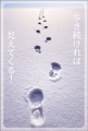 ポストカード　メッセージ　人生訓・その他　雪　足跡　［DF2008］|人生訓・その他|メッセージ