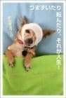 ポストカード　メッセージ　人生訓・その他　動物　犬　［DF2009］|人生訓・その他|メッセージ