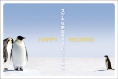 �ݥ��ȥ����ɡ������ǥ���&�л��ˤ���ưʪ&��ʪ���ڥ󥮥󡡡�EA1008��