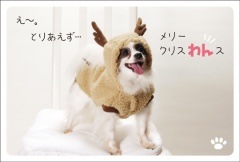 ݥȥɡꥹޥɡưʪ&ʪ [FA1001]