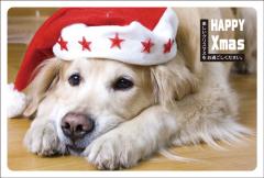 ݥȥɡꥹޥɡưʪ&ʪ󥿡 [FA1002]