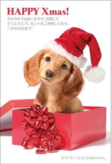 ポストカード クリスマスカード 動物 人物 犬サンタ Fa03 すべての商品 キンコーズポストカード