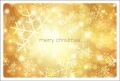 ポストカード　クリスマスカード　バラエティ　雪の結晶　［FC1049］|バラエティ|クリスマスカード