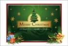 ポストカード　クリスマスカード　イラスト　緑と雪の結晶　［FD1010］|イラスト|クリスマスカード