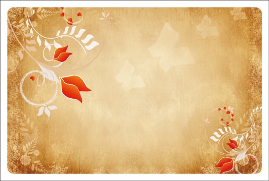 ポストカード 手書きスペース メッセージなし 植物 赤い花と白い花 Hb1001 手書きスペース メッセージなし 植物 キンコーズポストカード