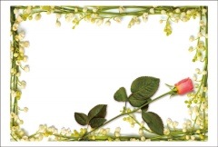 �ݥ��ȥ����ɡ���񤭥��ڡ���&��å������ʤ�����ʪ���Х�Ȥ�����󡡡�HB1009��