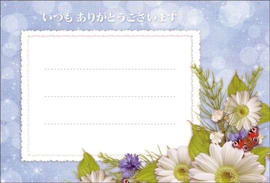 ポストカード 手書きスペース メッセージなし 植物 白い花 Hb1015 手書きスペース メッセージなし 植物 キンコーズポストカード