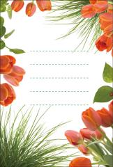 �ݥ��ȥ����ɡ���񤭥��ڡ���&��å������ʤ�����ʪ�����塼��åפȿ�ʪ����HB2002��