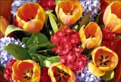 �ݥ��ȥ����ɡ���񤭥��ڡ���&��å������ʤ�����ʪ����«���ե�����󥸥��ȡ���HB1030��