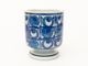 ������륳�ڥ�ϡ����� Tenera ���åס�Tenera Cup by Grete Helland-Hansen �̲�������ơ���ƫ��