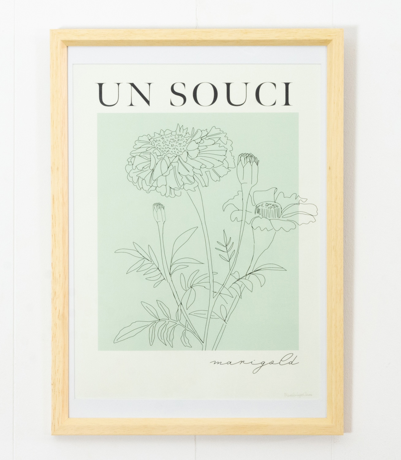 �ǥ�ޡ��� �����ȡó����Ѥߥݥ������ʥե졼���դ����̲�����ƥꥢ