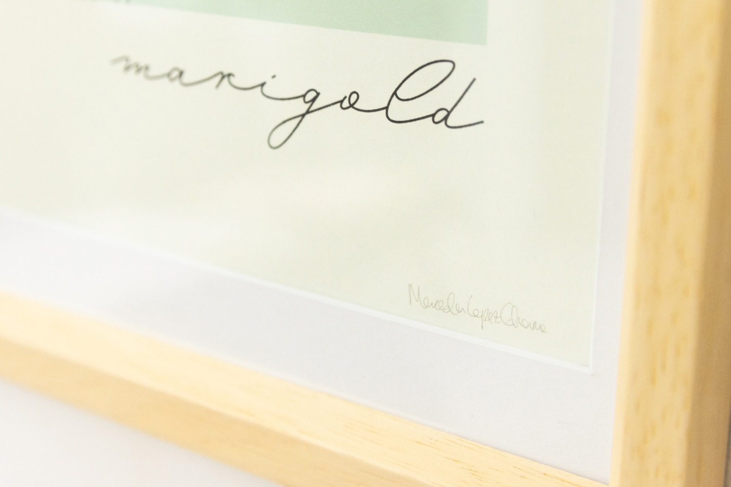 �ǥ�ޡ��� �����ȡó����Ѥߥݥ������ʥե졼���դ����̲�����ƥꥢ