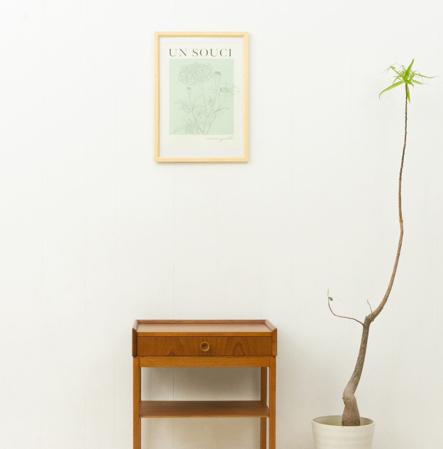 �ǥ�ޡ��� �����ȡó����Ѥߥݥ������ʥե졼���դ����̲�����ƥꥢ