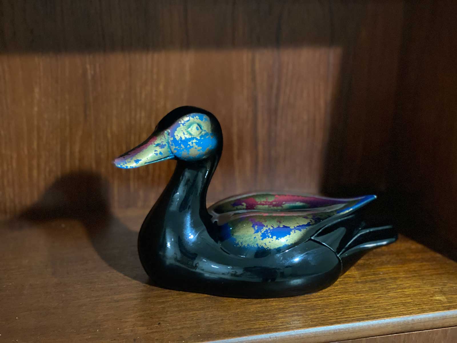 Duck