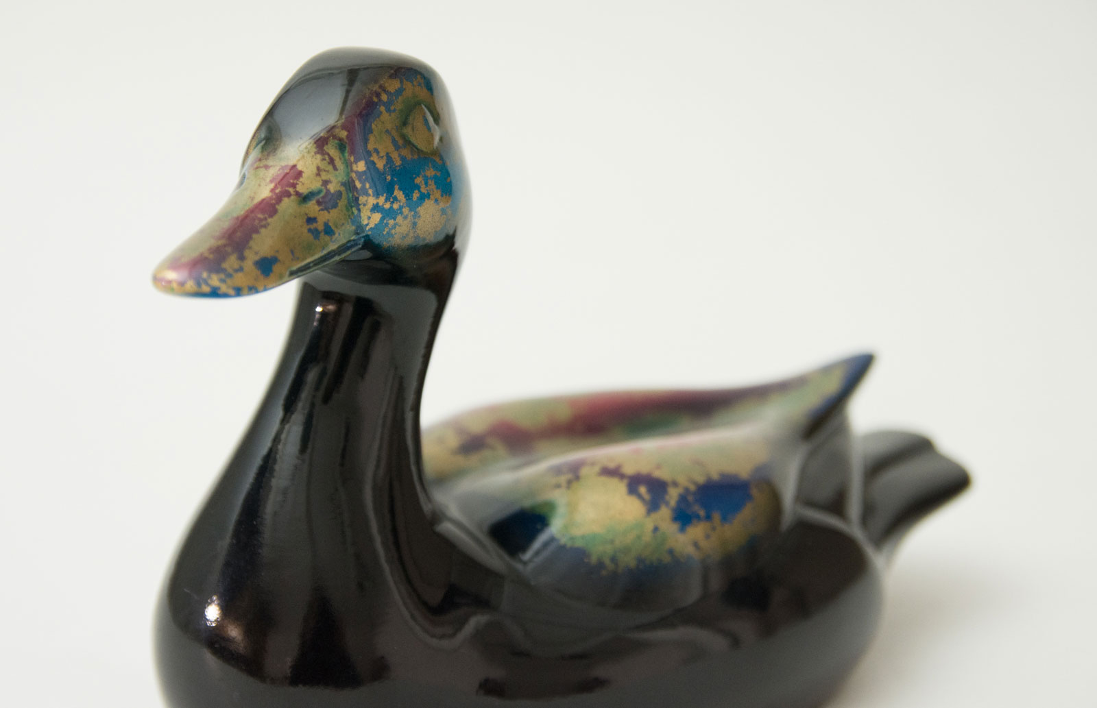Duck