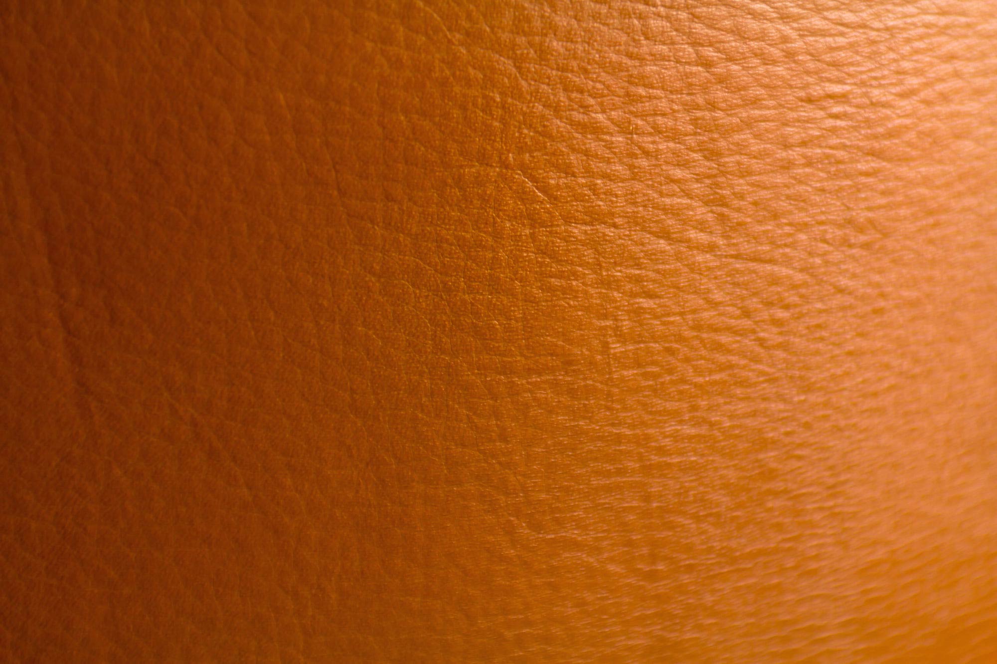 Swan Chair by Arne Jacobsen