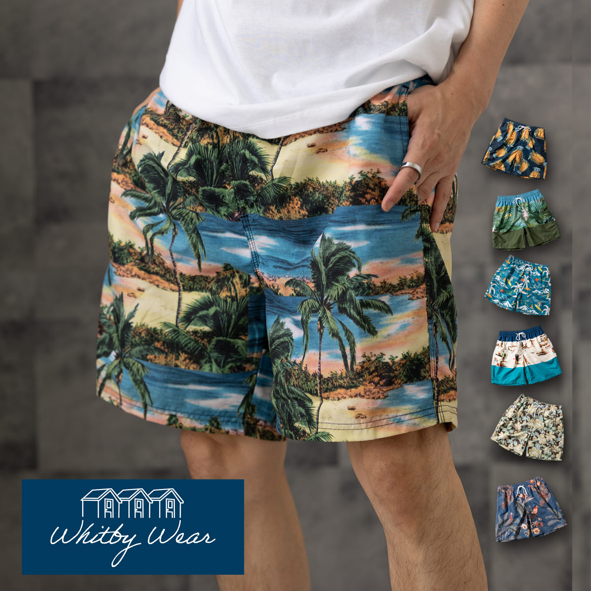 ��Φξ�� ���ѥ� Whitby Wear ���� ���硼�ȥѥ�� �����åȥӡ������� ������ �����ߥ� �����०����