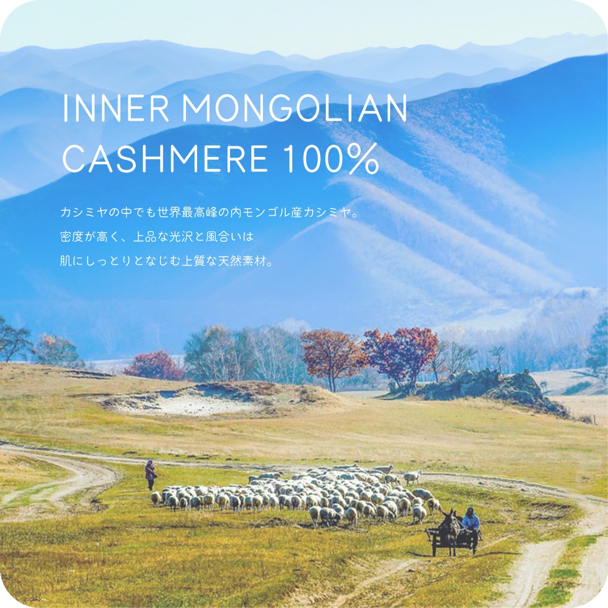 100% �ԥ奢�����ߥ� ��Ƚ�ޥե顼 200��35cm Jubilee Fabric �ޥե顼 �������� �����å� ����ӥ꡼ ��˥��å���