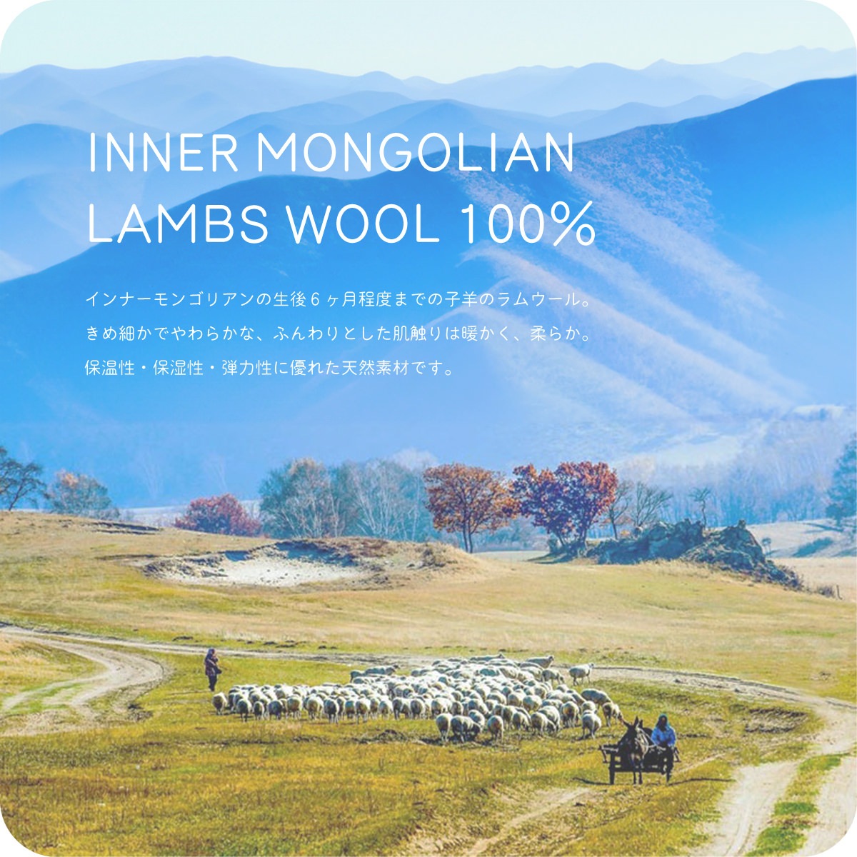 餫ӤΥ С֥  ĶȽȡ  20070cm Jubilee Fabric 15 餫ǹʼ 󥴥  ץ졼 ̵ ӥ꡼ stole ǥ ե Ҥ ॺ    Ĺ ȥå