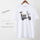 Ben Sherman �٥󥷥㡼�ޥ� T����� Ⱦµ �ۥ磻�� ���������� �ץ��� �������˥å����åȥ� �쥮��顼�ե��å�