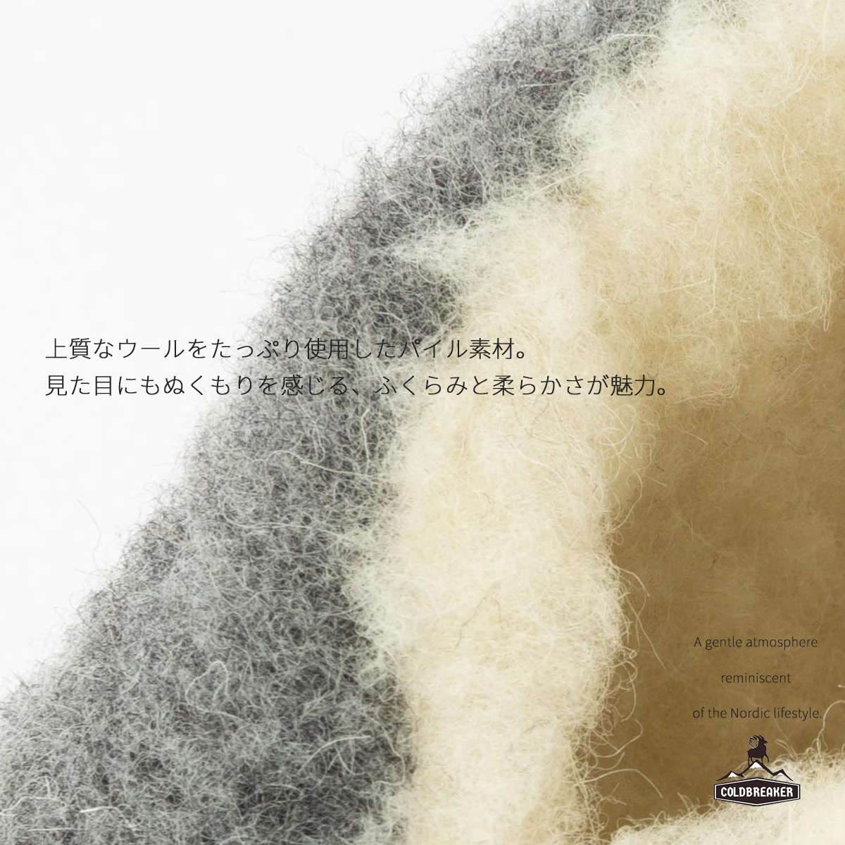 COLD BREAKER ������ɥ֥졼���� ������ �롼�ॷ�硼�ȥ֡��� �롼��֡��ƥ��� �롼�ॷ�塼�� ������ѥ��� ���� COMFY SKIPER �ݡ������� ��˥��å���