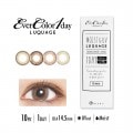 ̵ۥС顼ǡ 륯 1Ȣ10ۡ1Day 14.5mm EverColor 1day Luquage