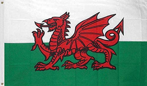 応援用フラッグ ウェールズ 90cm×150cm