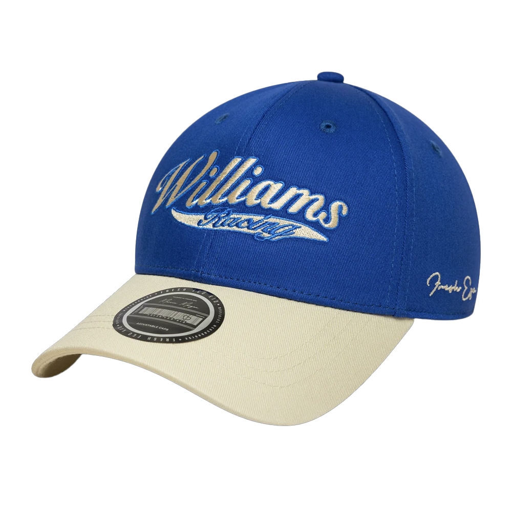 モータースポーツ カテゴリ,F1,ウィリアムズ,キャップ｜キャップ