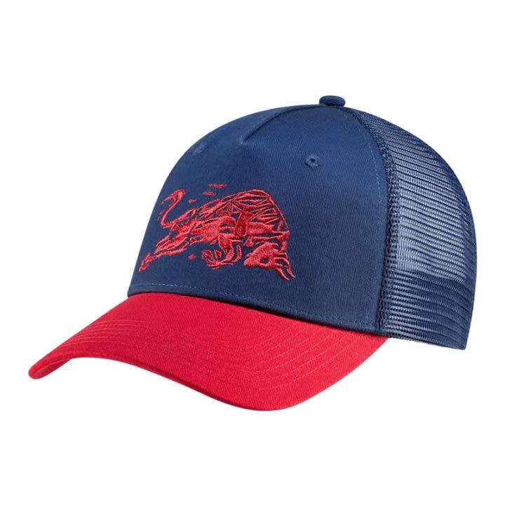 モータースポーツ カテゴリ,F1,Red Bull Racing,キャップ｜キャップ