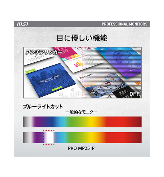 PRO MP251P