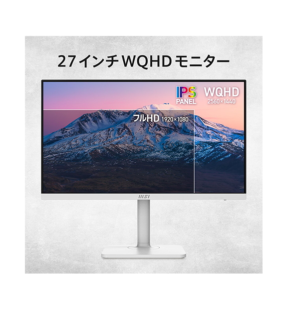 PRO MAX 271QPHW E14