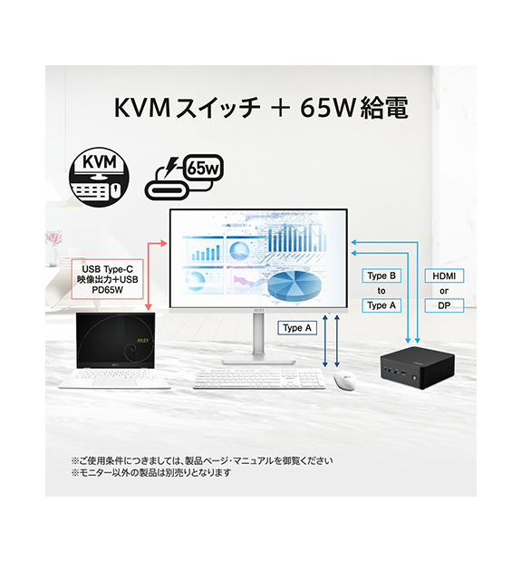 PRO MAX 271QPHW E14