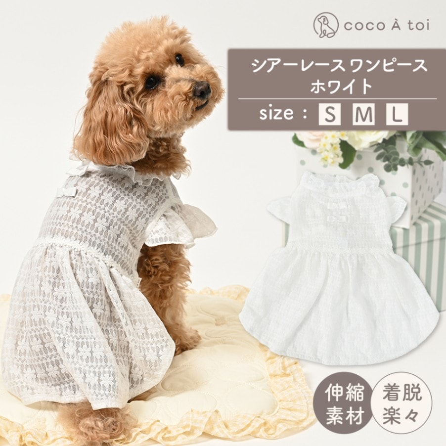 シアーレース ホワイトワンピース / 白レース 透け感 かわいい ドッグウェア 春夏 【ココアトワ(cocoAtoi)】