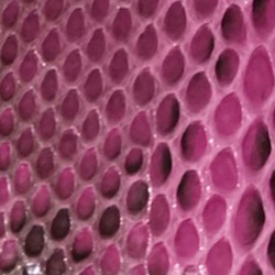 COCOCELUX GOLD�����׎͎ގټ����������Ǝݎ��ގʎߎ����ݡ����ώ��Ď̎��ݎ�������L