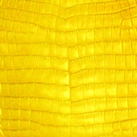 COCOCELUX GOLD �ե�󥹥��������������������ώَ����ގ��̎ߎ����ڎ���