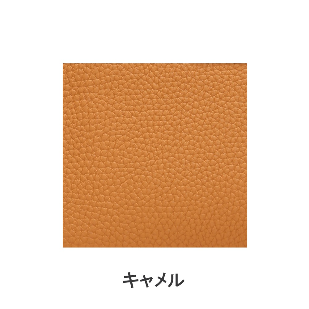 COCOCELUX GOLD���͎׎��ڎ�GOLD�����؎ݎ� 2WAY�������ݎʎގ�����