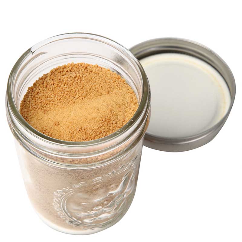 SALE COCOCURE ˥å礦 ᥤ󥸥㡼