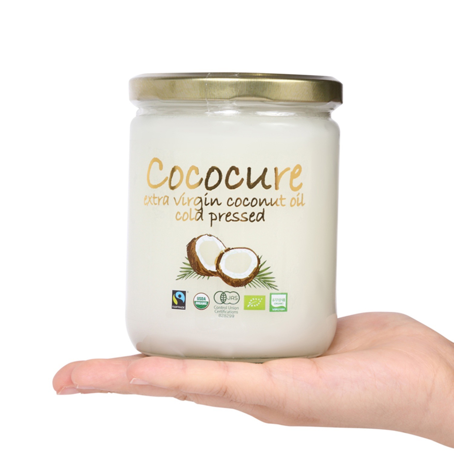 cococure 奢 ʥåĥ ɥץ쥹ˡ/ 24Ȣ 