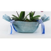 �ڥ��ץ����ۥ�åԥ�[����ȥ�]��[����ȥ��ȡ���]����